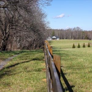 Photo #22 of TBD TADPOLE LN, GREENVILLE, VA 8.5 acres