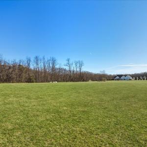 Photo #13 of TBD TADPOLE LN, GREENVILLE, VA 8.5 acres