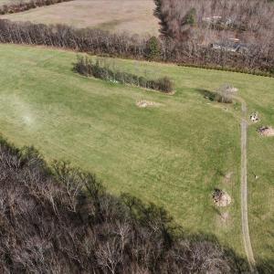 Photo #8 of TBD TADPOLE LN, GREENVILLE, VA 8.5 acres