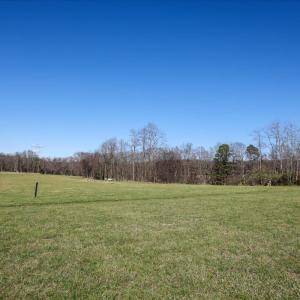 Photo #20 of TBD TADPOLE LN, GREENVILLE, VA 8.5 acres