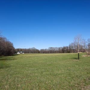 Photo #18 of TBD TADPOLE LN, GREENVILLE, VA 8.5 acres