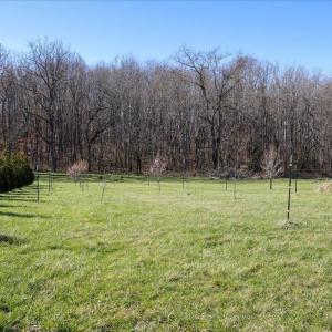 Photo #19 of TBD TADPOLE LN, GREENVILLE, VA 8.5 acres