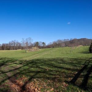 Photo #16 of TBD TADPOLE LN, GREENVILLE, VA 8.5 acres