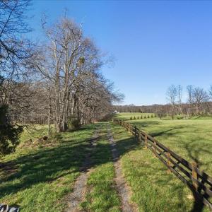Photo #23 of TBD TADPOLE LN, GREENVILLE, VA 8.5 acres