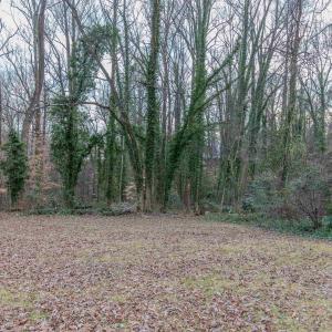 Photo #3 of 202 RAYMOND AVE, CHARLOTTESVILLE, VA 0.2 acres