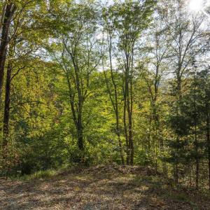 Photo #6 of TBD CHERRY GROVE LN, AFTON, VA 2.2 acres