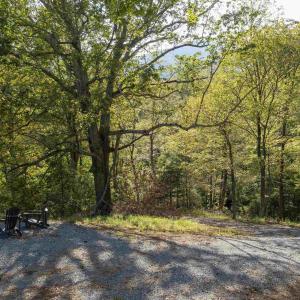 Photo #10 of TBD CHERRY GROVE LN, AFTON, VA 2.2 acres