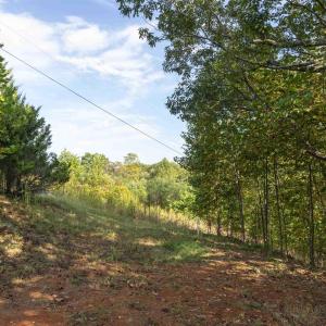 Photo #1 of TBD CHERRY GROVE LN, AFTON, VA 2.2 acres