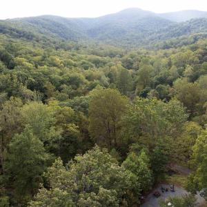 Photo #5 of TBD CHERRY GROVE LN, AFTON, VA 2.2 acres