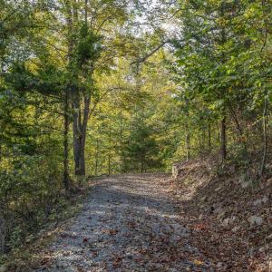 Photo #6 of TBD CHERRY GROVE LN, AFTON, VA 2.2 acres