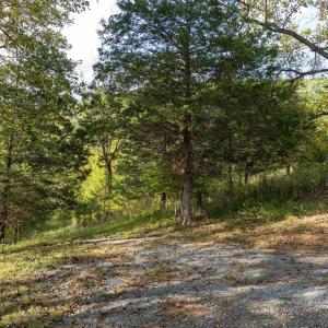 Photo #12 of TBD CHERRY GROVE LN, AFTON, VA 2.2 acres