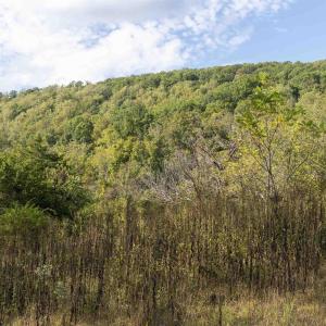 Photo #10 of TBD CHERRY GROVE LN, AFTON, VA 2.2 acres