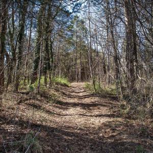 Photo #5 of MIDDLE RIVER RD, STANARDSVILLE, VA 13.0 acres