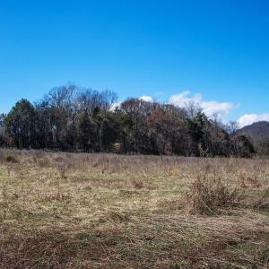 Photo #10 of MIDDLE RIVER RD, STANARDSVILLE, VA 13.0 acres