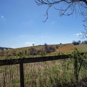 Adjacent 261+/- acres are under a conservation easement.