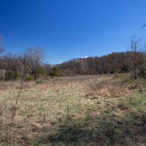 Photo #8 of MIDDLE RIVER RD, STANARDSVILLE, VA 13.0 acres