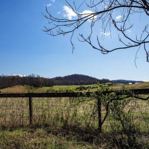 Adjacent Farm is under a conservation easement.