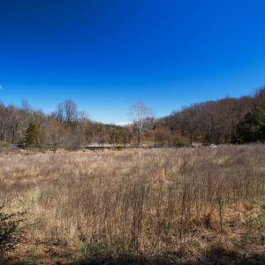 Photo #7 of MIDDLE RIVER RD, STANARDSVILLE, VA 13.0 acres