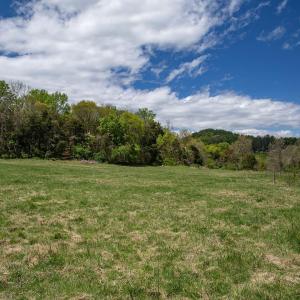 Photo #6 of MIDDLE RIVER RD, STANARDSVILLE, VA 13.0 acres