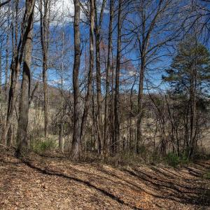 Photo #1 of MIDDLE RIVER RD, STANARDSVILLE, VA 13.0 acres