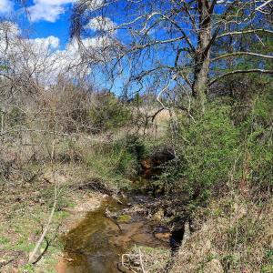 The creek runs along one of the property's boundaries.
