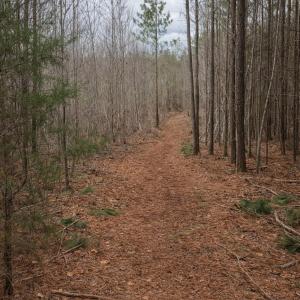 Photo #16 of JEFFERSON HWY, BUMPASS, VA 12.6 acres