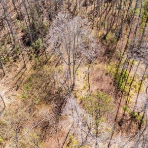 Photo #9 of JEFFERSON HWY, BUMPASS, VA 12.6 acres