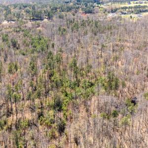 Photo #6 of JEFFERSON HWY, BUMPASS, VA 12.6 acres