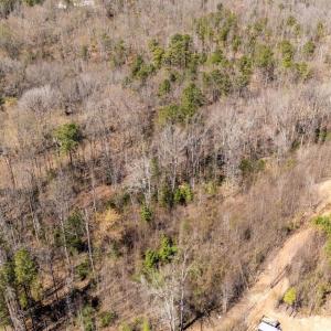 Photo #11 of JEFFERSON HWY, BUMPASS, VA 12.6 acres