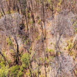 Photo #8 of JEFFERSON HWY, BUMPASS, VA 12.6 acres