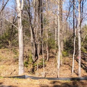 Photo #13 of JEFFERSON HWY, BUMPASS, VA 12.6 acres