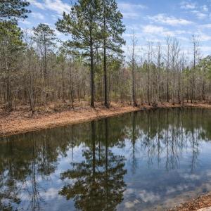 Photo #1 of JEFFERSON HWY, BUMPASS, VA 12.6 acres