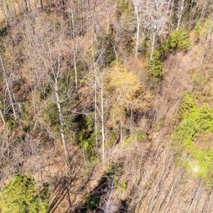 Photo #3 of JEFFERSON HWY, BUMPASS, VA 12.6 acres