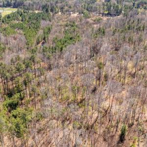 Photo #14 of JEFFERSON HWY, BUMPASS, VA 12.6 acres