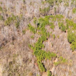 Photo #10 of JEFFERSON HWY, BUMPASS, VA 12.6 acres