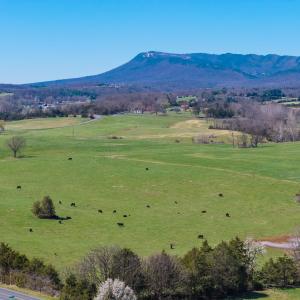 Massanutten peak is visible from the property.