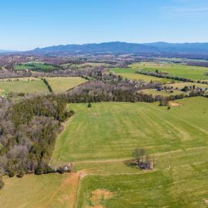 The rear grazing/hay pasture is to the left.  Moving left to right in the picture is the creek and forested ridge, then the front hay pasture, followed by the grazing pasture on the road frontage.