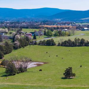 In view is the grazing pasture with pond looking east.