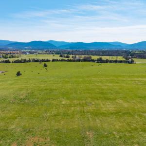 View from the back of the property looking toward the Blue Ridge Mountains.