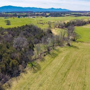 View of the rear hay pasture, with the Snag Run creek winding through the forest.