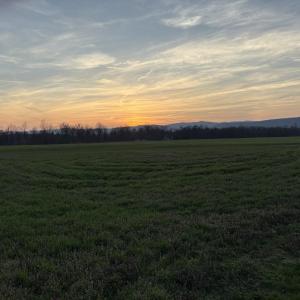 Photo #6 of TBD CLOVER HILL RD, DAYTON, VA 3.2 acres