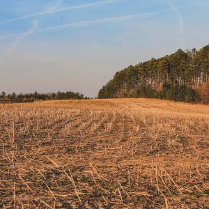 Photo #21 of TBD COURTENAY GLEN WAY, CHARLOTTESVILLE, VA 21.0 acres