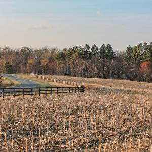 Photo #14 of TBD COURTENAY GLEN WAY, CHARLOTTESVILLE, VA 21.0 acres