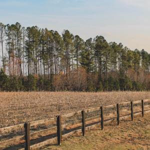 Photo #18 of TBD COURTENAY GLEN WAY, CHARLOTTESVILLE, VA 21.0 acres
