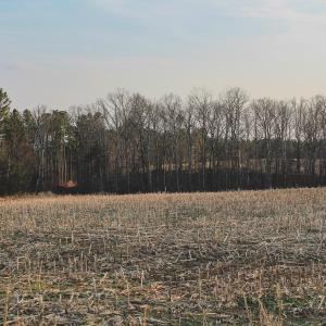 Photo #19 of TBD COURTENAY GLEN WAY, CHARLOTTESVILLE, VA 21.0 acres