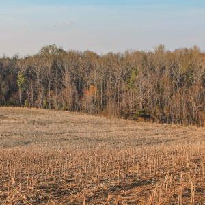 Photo #16 of TBD COURTENAY GLEN WAY, CHARLOTTESVILLE, VA 21.0 acres