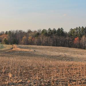 Photo #15 of TBD COURTENAY GLEN WAY, CHARLOTTESVILLE, VA 21.0 acres