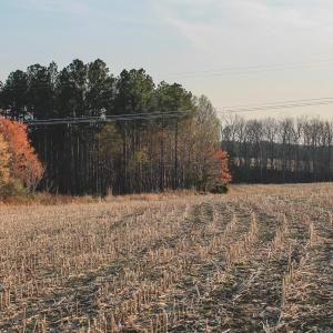 Photo #23 of TBD COURTENAY GLEN WAY, CHARLOTTESVILLE, VA 21.0 acres