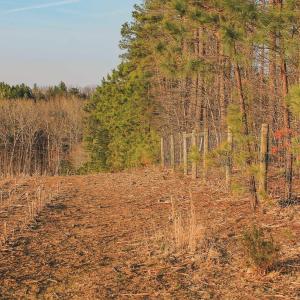 Photo #25 of TBD COURTENAY GLEN WAY, CHARLOTTESVILLE, VA 21.0 acres