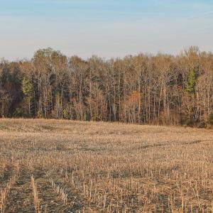 Photo #17 of TBD COURTENAY GLEN WAY, CHARLOTTESVILLE, VA 21.0 acres